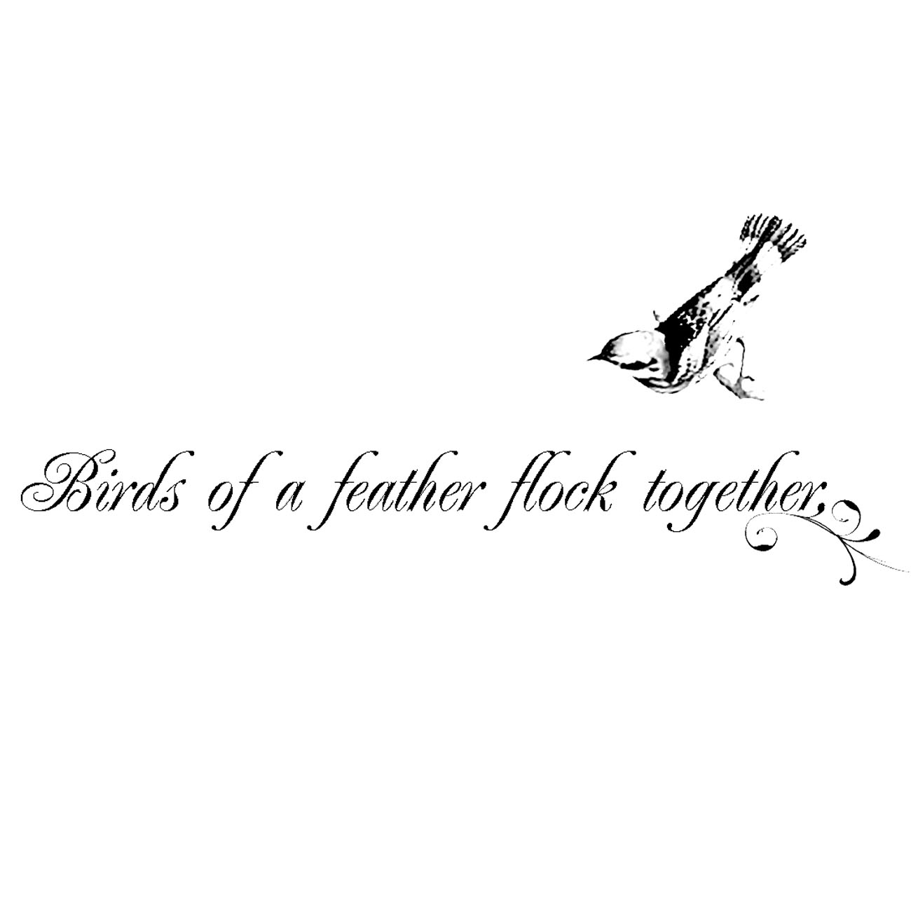 #1847 - Birds of a Feather - Nature